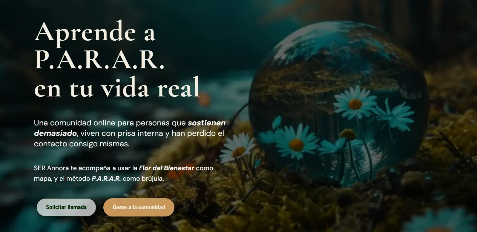 Ser Annora